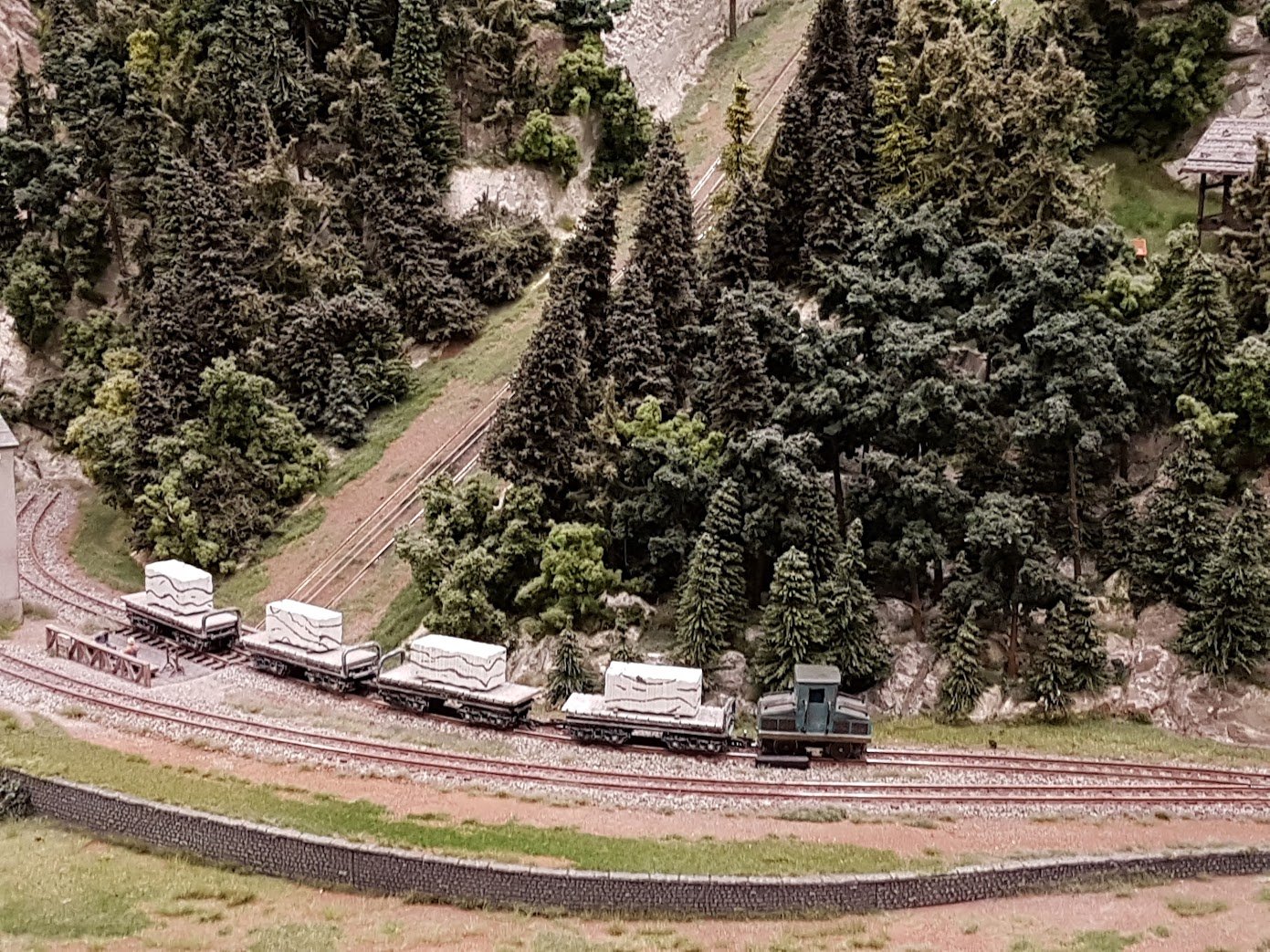 Plastici 20170818 224338