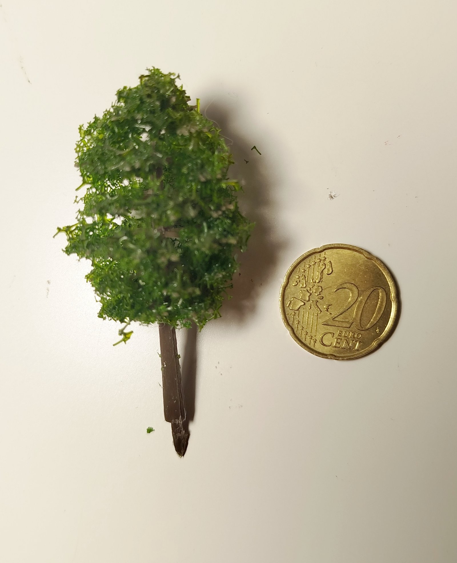 #008A VEGETAZIONE ALBERO N img 20260131 232522