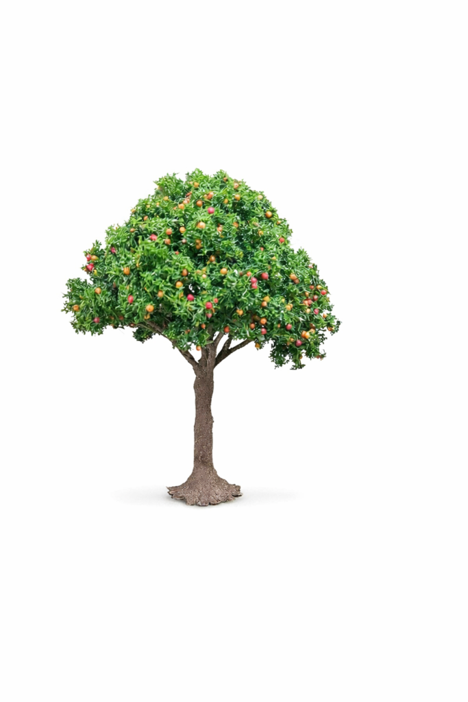 file 00000000e96471f4936233875e9f1e80